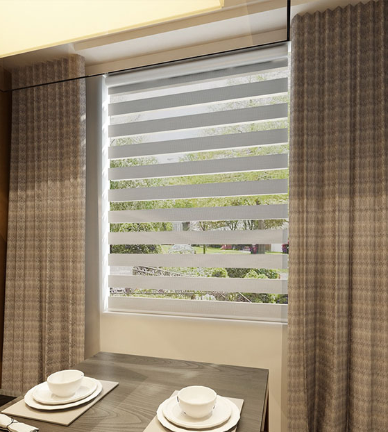 Find Your Perfect Window Treatment with Trendy Zebra Blinds.