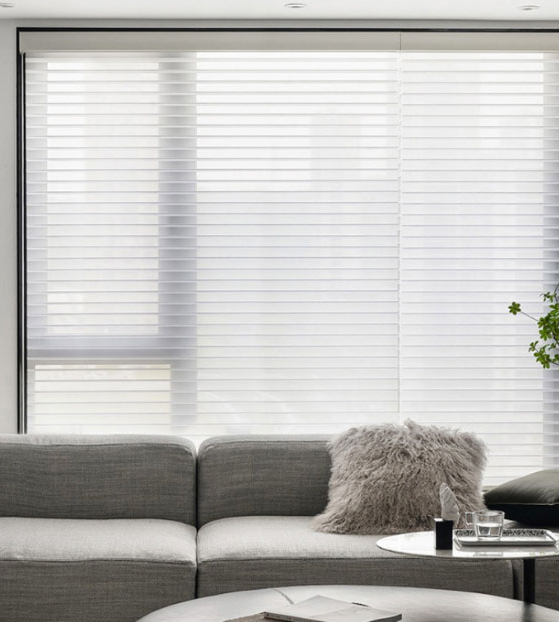 Say Goodbye to Manual Blinds with Motorization