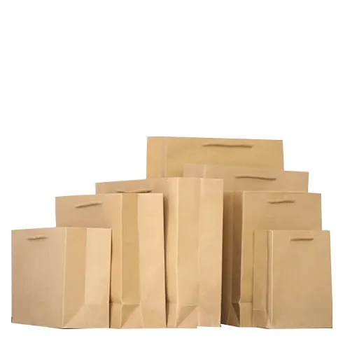 Paper Shopping Bag With Handles | Wholesale Paper Shopping Bag
