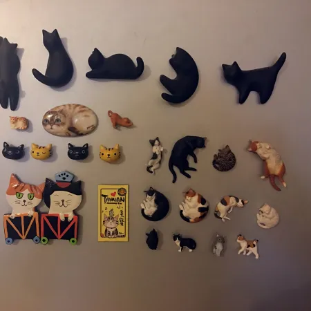 Cute fridge magnet